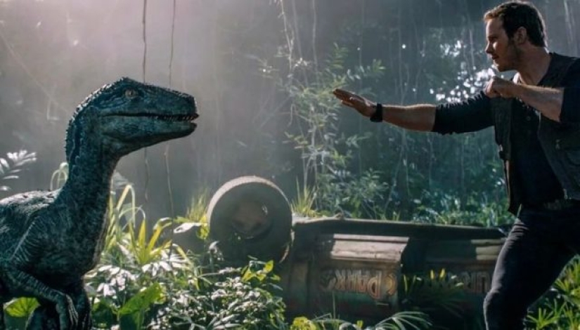 The creators of these films forgot about logic