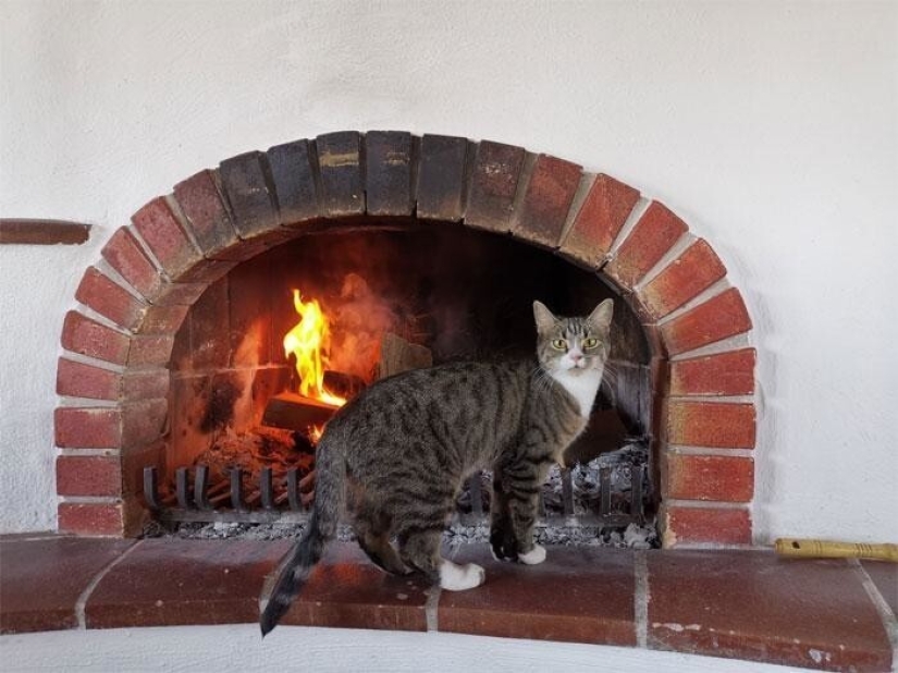 The delights and challenges of life in a medieval castle 1482 The delights and challenges of life in a medieval castle 1482