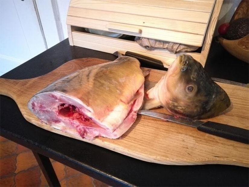 The delights and challenges of life in a medieval castle 1482 The delights and challenges of life in a medieval castle 1482