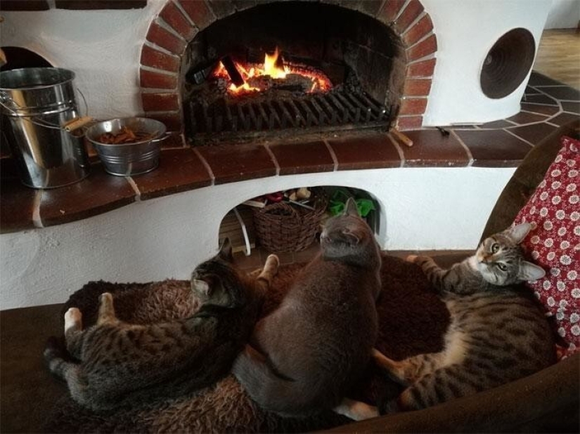 The delights and challenges of life in a medieval castle 1482 The delights and challenges of life in a medieval castle 1482