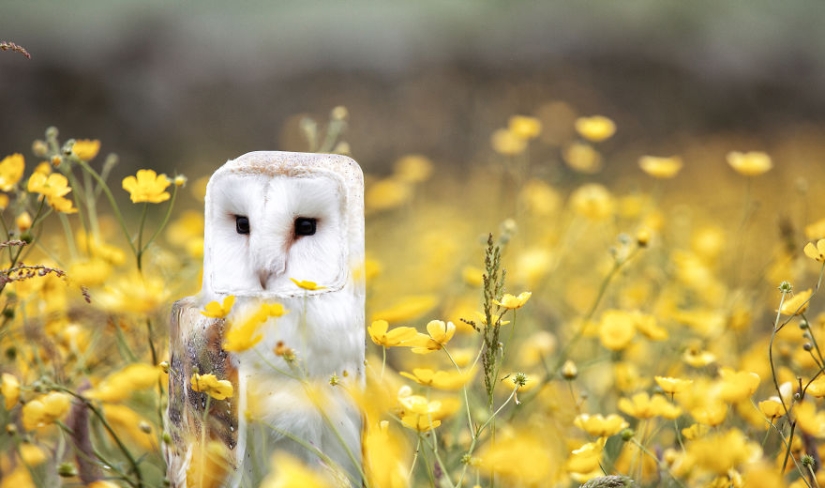 The designer makes animals in the style of Minecraft