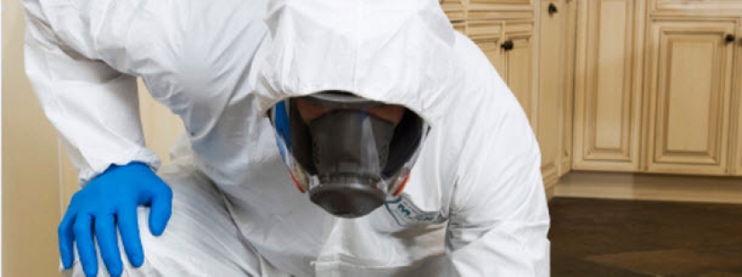 The everyday life of a janitor after the murders