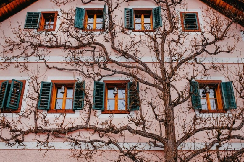 The fabulous village of Hallstatt through the eyes of Georgian photographer Dito Tediashvili