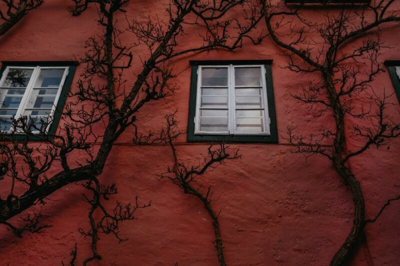 The fabulous village of Hallstatt through the eyes of Georgian photographer Dito Tediashvili