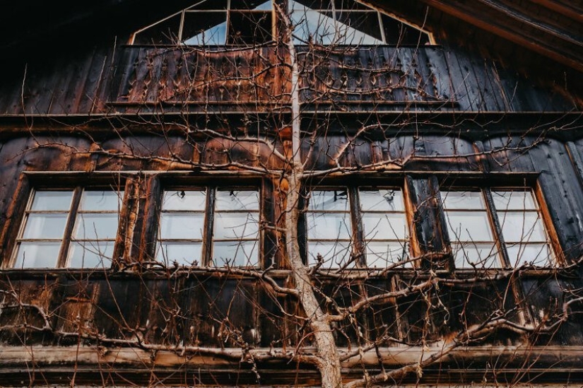 The fabulous village of Hallstatt through the eyes of Georgian photographer Dito Tediashvili