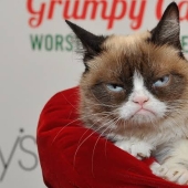 The favorite of millions, the cat Grumpy, has died