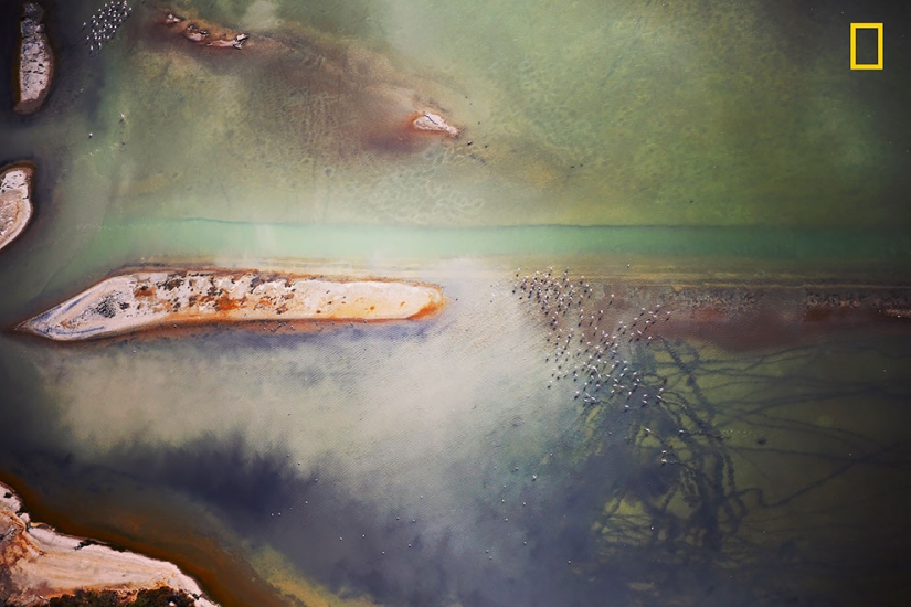 The first works of the National Geographic Nature Photographer Of The Year photo contest have been published The first works of the National Geographic Nature Photographer Of The Year photo contest have been published