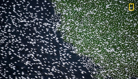 The first works of the National Geographic Nature Photographer Of The Year photo contest have been published