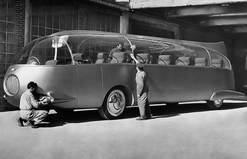 The funniest buses The funniest buses