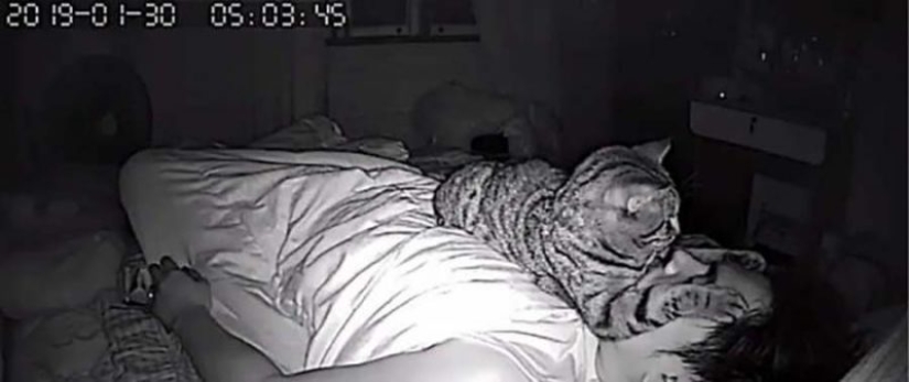 The guy installed a camera in his room to film what his cat does at night