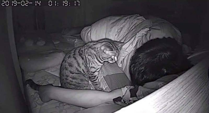 The guy installed a camera in his room to film what his cat does at night