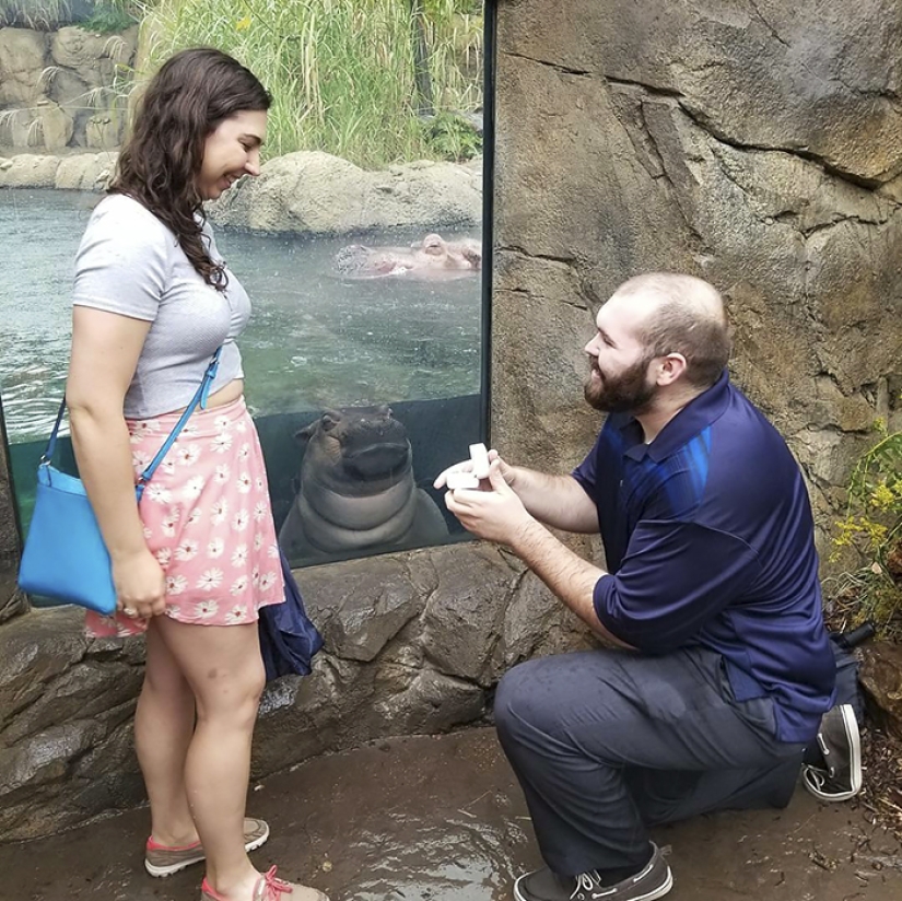 The hippo girl was offended that the marriage proposal was not made to her