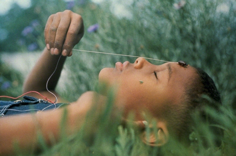 The history of segregation in Alabama in pictures by Gordon Parks The history of segregation in Alabama in pictures by Gordon Parks