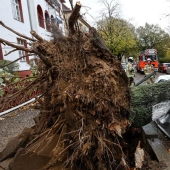 The hurricane "Gervart" that swept through Europe claimed the lives of six people