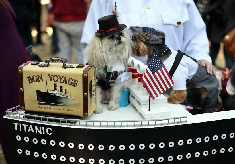 The largest costumed dog parade