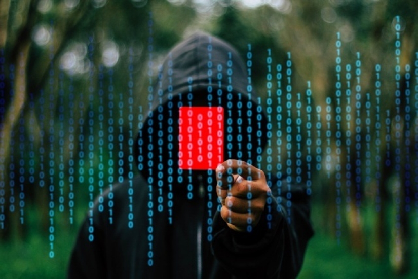 The largest international network for the distribution of child porn in history has been revealed on the darknet