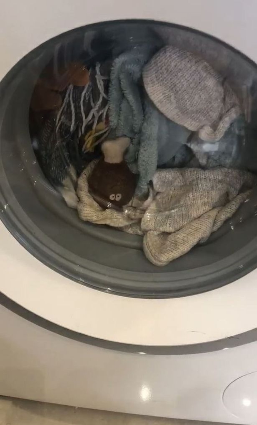 The little dachshund cried for an hour while her favorite toy was being washed in a typewriter The little dachshund cried for an hour while her favorite toy was being washed in a typewriter