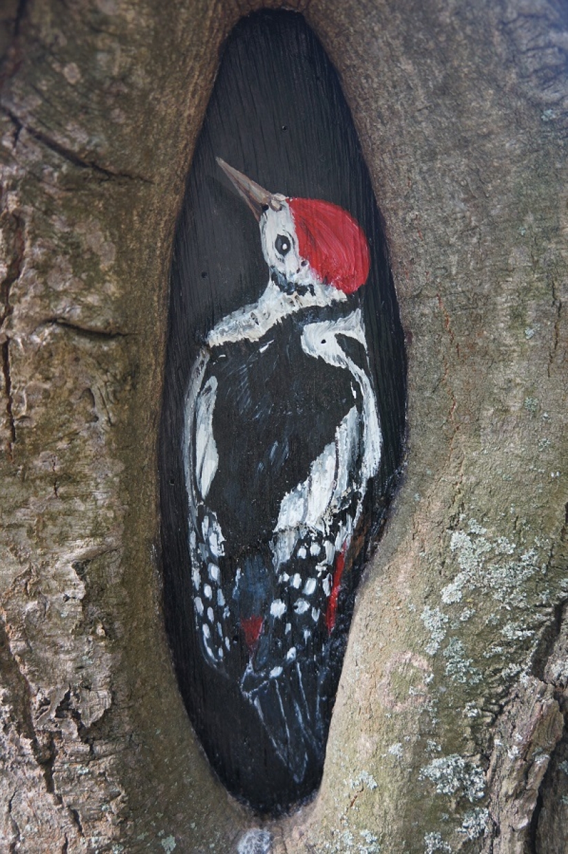 The Little Prince and the Hedgehog in the fog: who paints fairy-tale pictures on the trees of Moscow