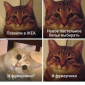 The main memes of 2019, over which we will continue to laugh in 2020