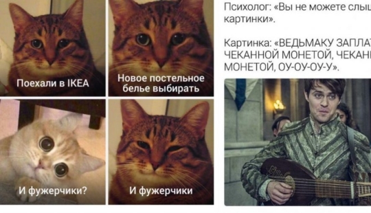 The main memes of 2019, over which we will continue to laugh in 2020