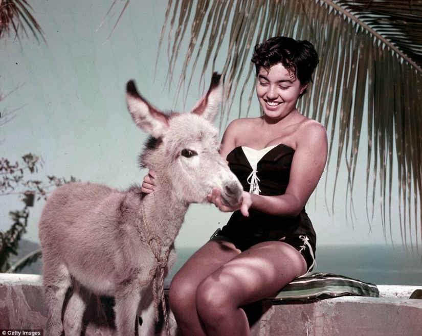 The Mexican Riviera of the 1950s, when Acapulco was not yet the fiefdom of drug dealers The Mexican Riviera of the 1950s, when Acapulco was not yet the fiefdom of drug dealers