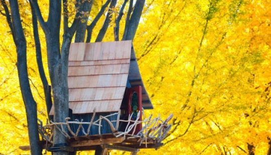 The most amazing tree houses