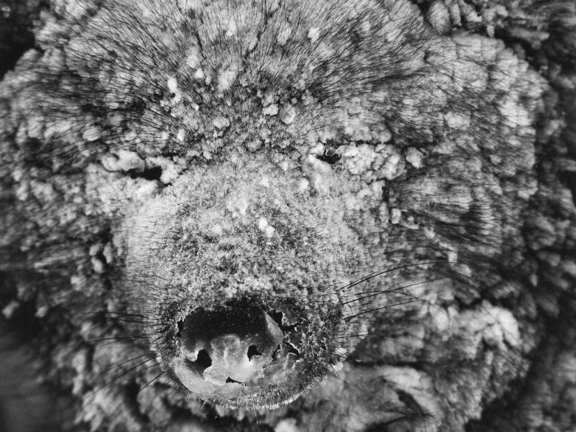 The most beautiful photos of Mars