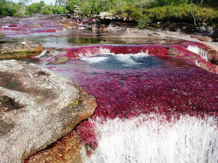 The most beautiful rivers in the world