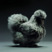 The most beautiful buildings in the style of brutalism The most beautiful buildings in the style of brutalism