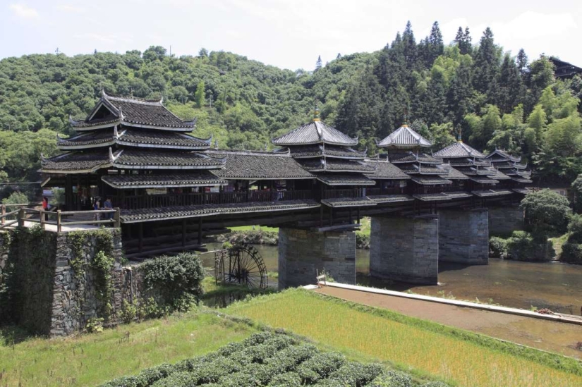 The most beautiful pedestrian bridges in the world