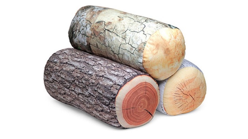 The most creative and diverse pillows for a sweet sleep and not only