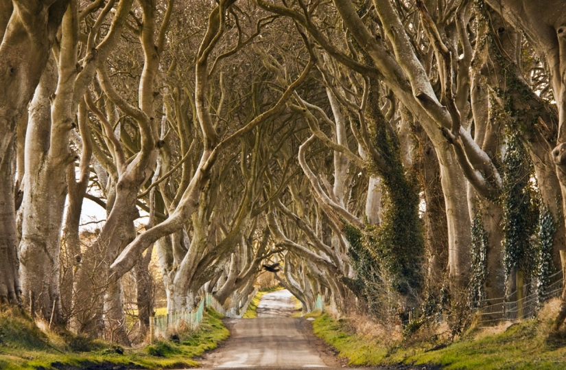 The most exciting alleys on the planet, which are definitely worth a walk The most exciting alleys on the planet, which are definitely worth a walk