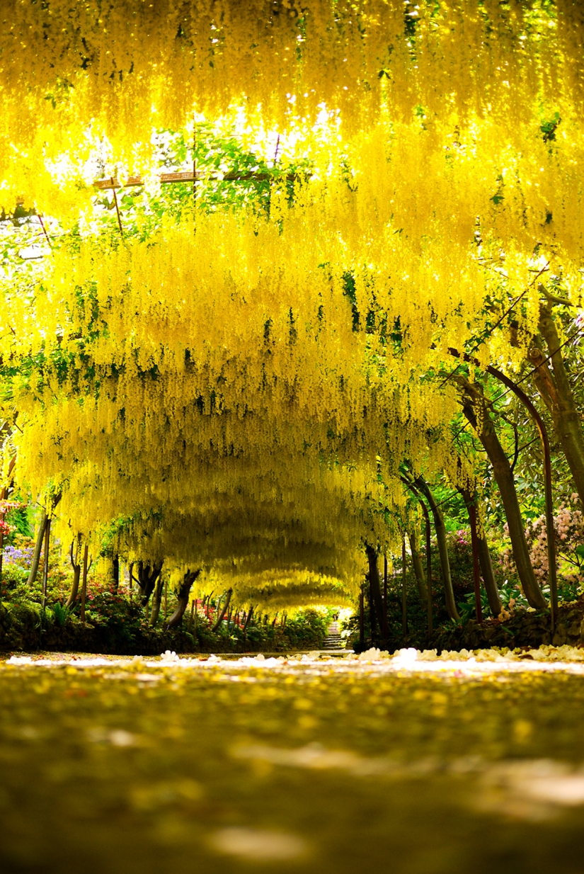 The most exciting alleys on the planet, which are definitely worth a walk The most exciting alleys on the planet, which are definitely worth a walk
