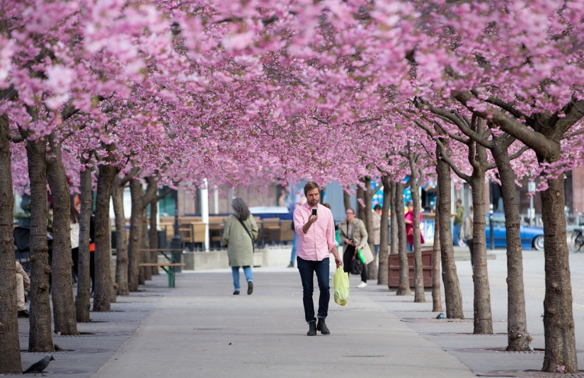 The most exciting alleys on the planet, which are definitely worth a walk The most exciting alleys on the planet, which are definitely worth a walk