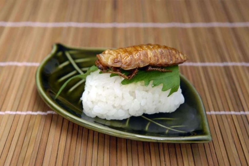 The most exotic sushi in the world