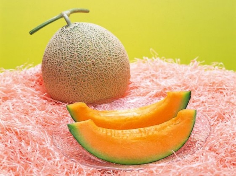 The most expensive meals in the world