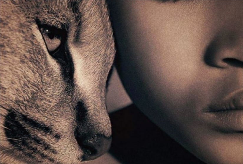 The most famous children are Mowgli: how were the fates of the kids who grew up among animals The most famous children are Mowgli: how were the fates of the kids who grew up among animals