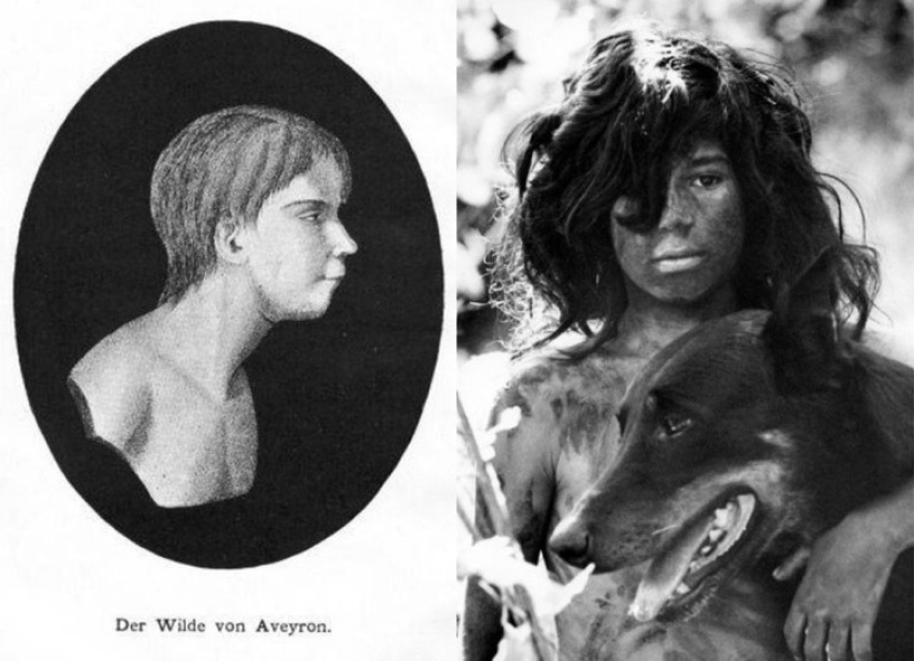 The most famous children are Mowgli: how were the fates of the kids who grew up among animals The most famous children are Mowgli: how were the fates of the kids who grew up among animals