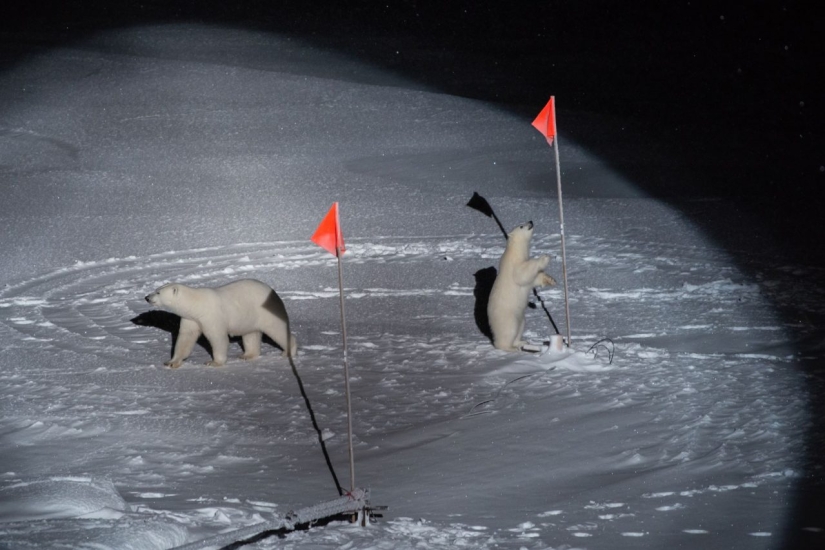 The most interesting shots from the prestigious World Press Photo 2020 contest