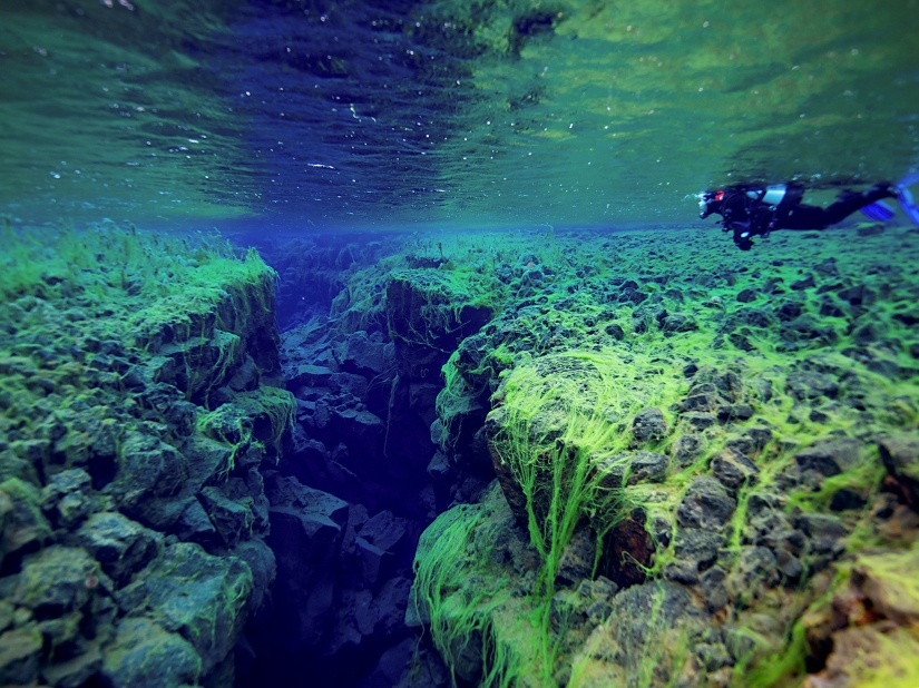 The most interesting underwater attractions in the world