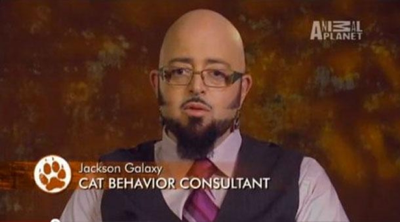 The most stupid names of professions and positions highlighted on TV