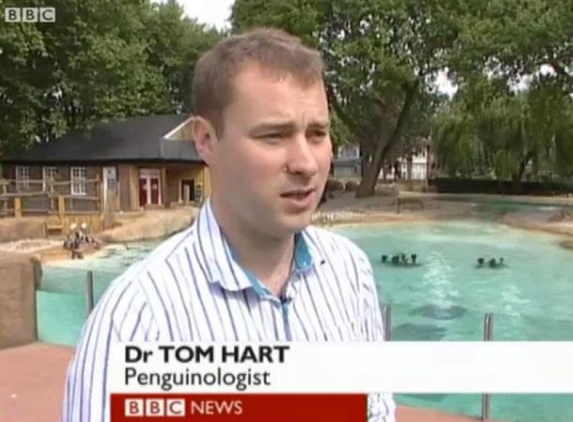 The most stupid names of professions and positions highlighted on TV