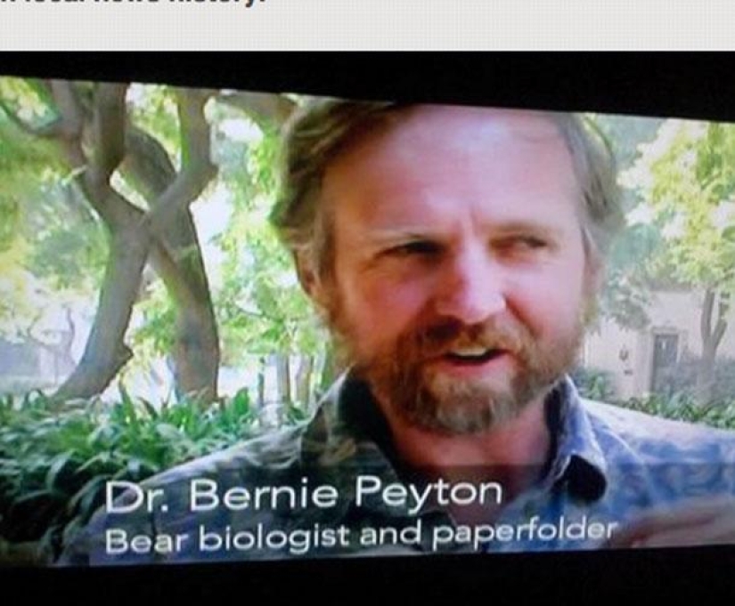 The most stupid names of professions and positions highlighted on TV