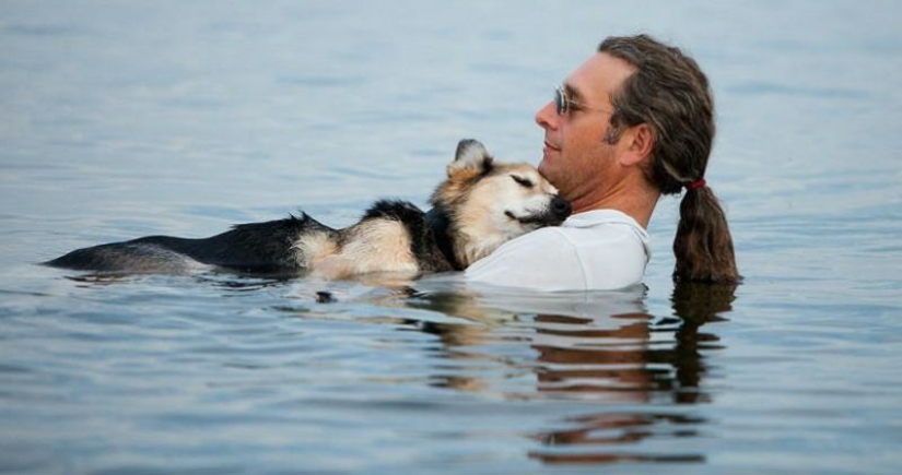 The most touching story of caring for a pet