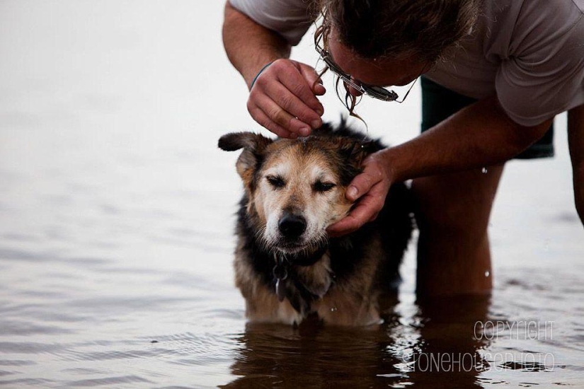 The most touching story of caring for a pet