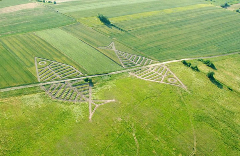 The most unusual borders that clearly demonstrate the policy of states The most unusual borders that clearly demonstrate the policy of states