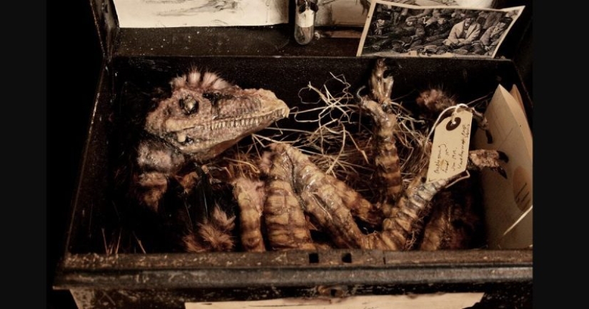 The mystery of the disappeared Brazilian who left only mysterious writings in his room