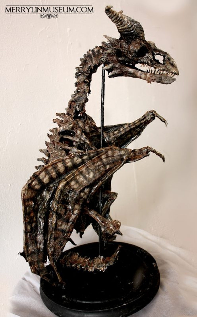 The mystery of the disappeared Brazilian who left only mysterious writings in his room