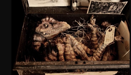 The mystery of the disappeared Brazilian who left only mysterious writings in his room The mystery of the disappeared Brazilian who left only mysterious writings in his room