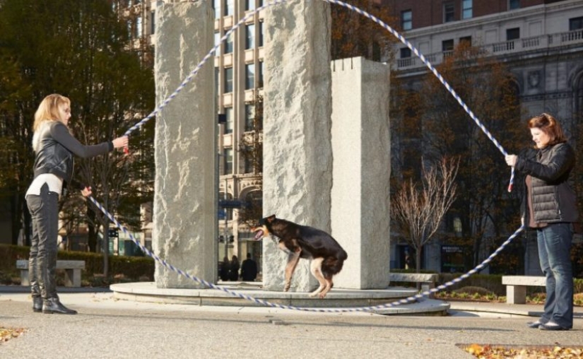 The oldest gymnast in the world and a huge walker: what have the authors of the Guinness Book of Records 2019 prepared for the public?